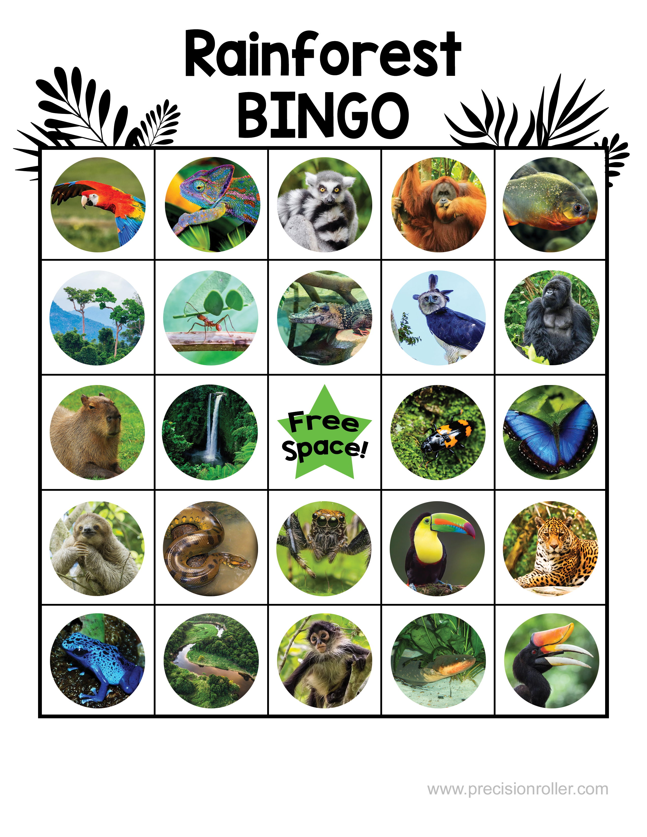 rainforest free printable bingo cards precision printables